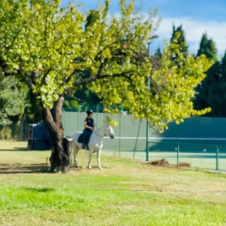 With Pool And Tennis * Vallabrègues