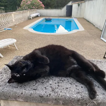 With Pool And Tennis